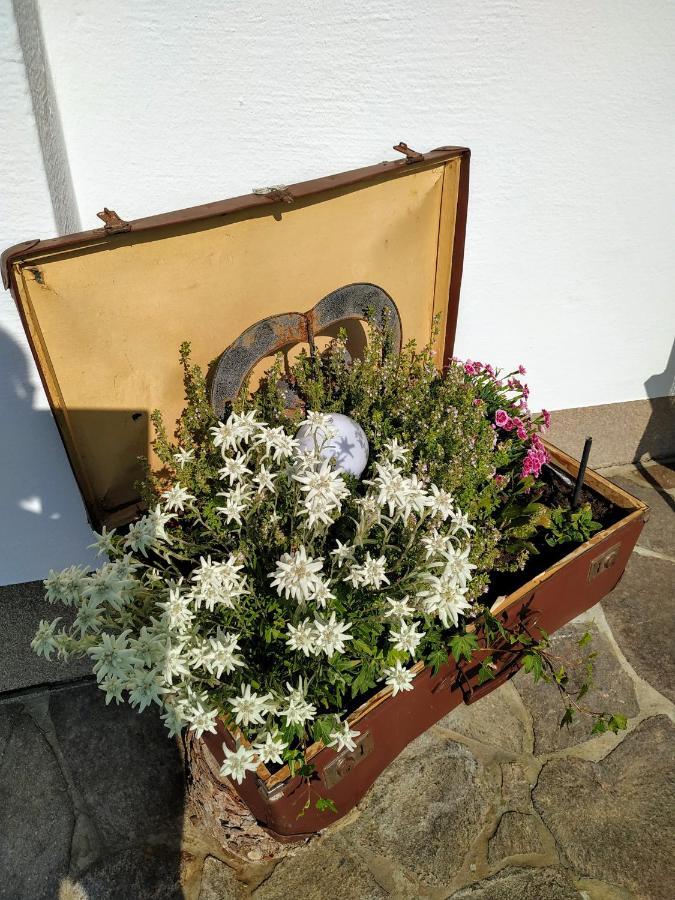 Marie Luise, Landhaus Reith bei Kitzbühel Exterior foto